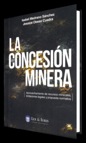 LA CONCESIÓN MINERA